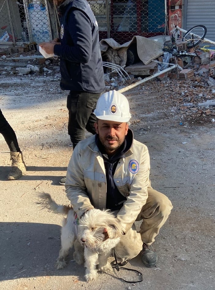 Hatay'da 204 saat sonra enkazdan köpek çıkarıldı