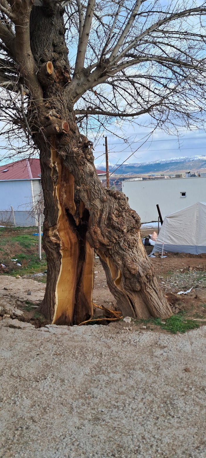 Yeni Haber Başlığı