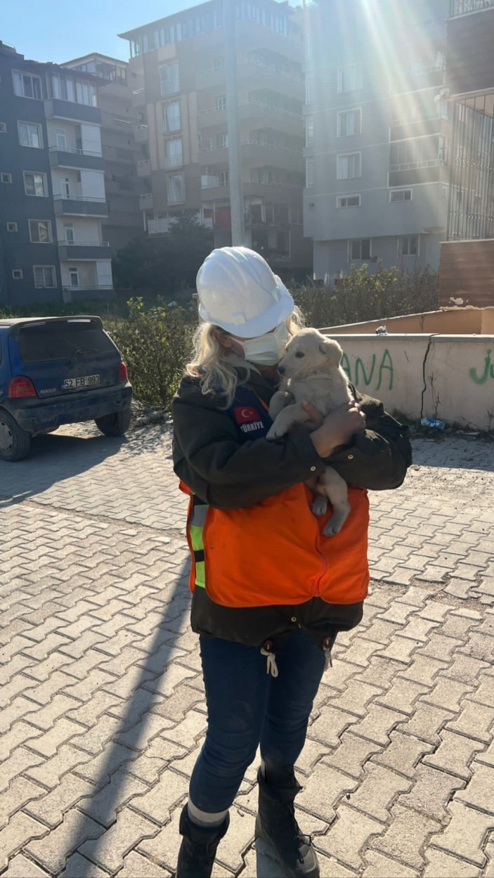 Hatay'da kurtarılan köpeği askerler sahiplendi