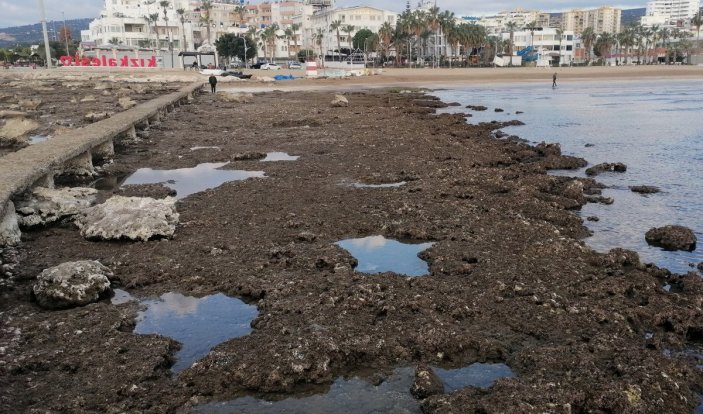 Kızkalesi'nde deniz suyu yaklaşık 100 metre çekildi