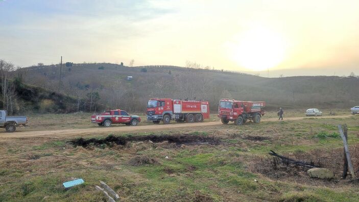 Sakarya'da çıkan yangında 100 dönümlük arazi kül oldu