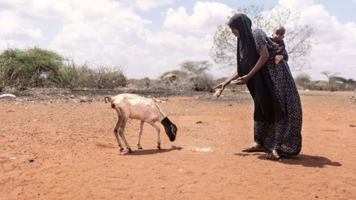 Afrika Boynuzu'nda yağışlar azaldı: 23 milyon kişi tehlikede