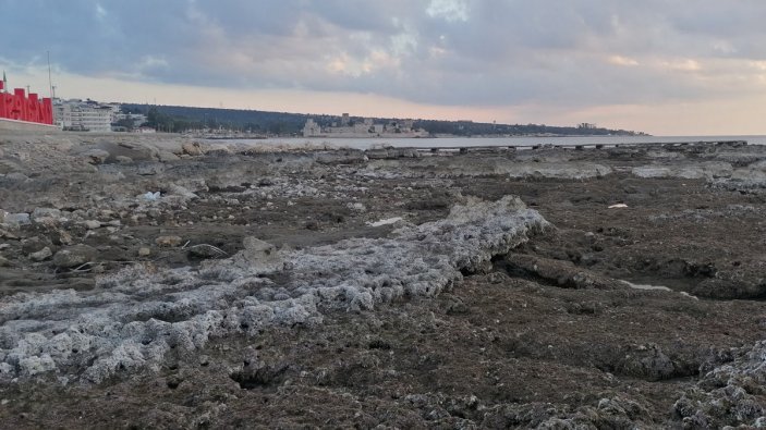 Kızkalesi'nde deniz suyu yaklaşık 100 metre çekildi