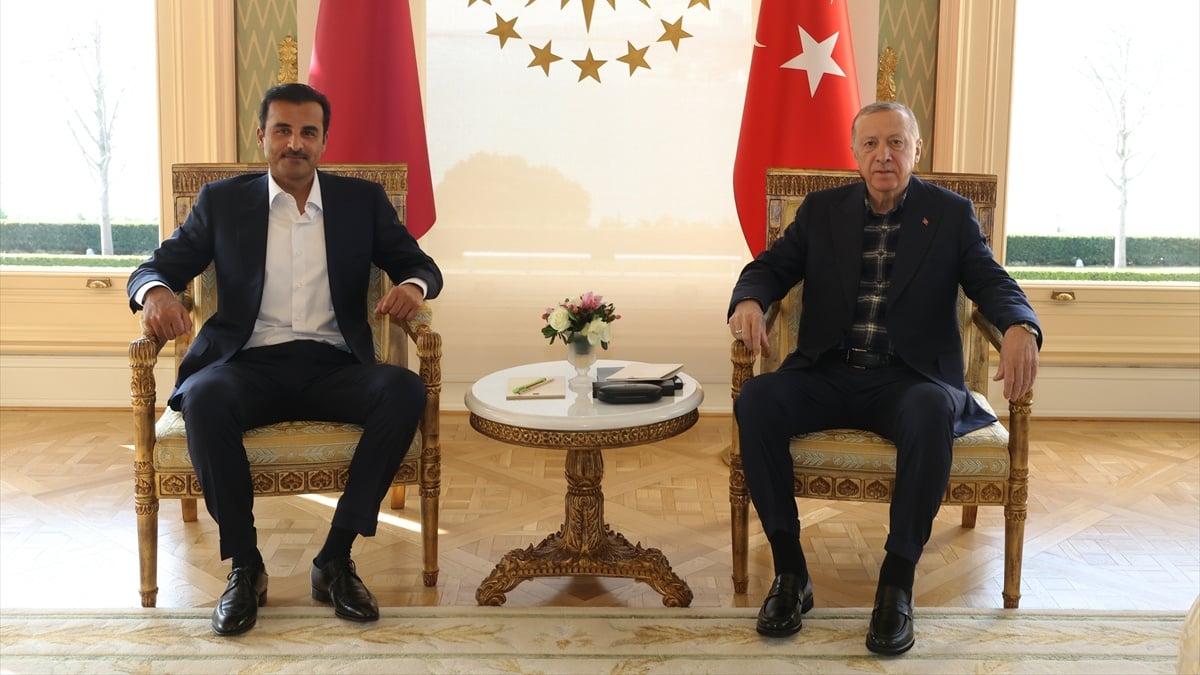 cumhurbaskani-erdogan-katar-emiri-al-sani-ile-gorustu_8d362233.jpg