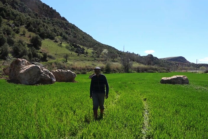 Kahramanmaraş'ta tarım arazilerine kaya yağdı