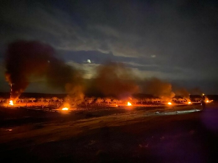 Şanlıurfa'da çiftçiler don olayına karşı ağaçlarını ateş yakarak korudu