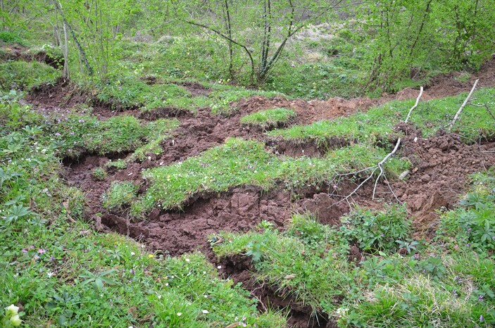 Ordu'da heyelan yaşandı! Bir ev yan yattı