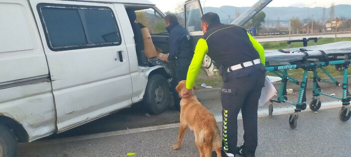 Çorum'da direğe çarpan aracın içinde sıkışan sürücüyü köpeği yalnız bırakmadı