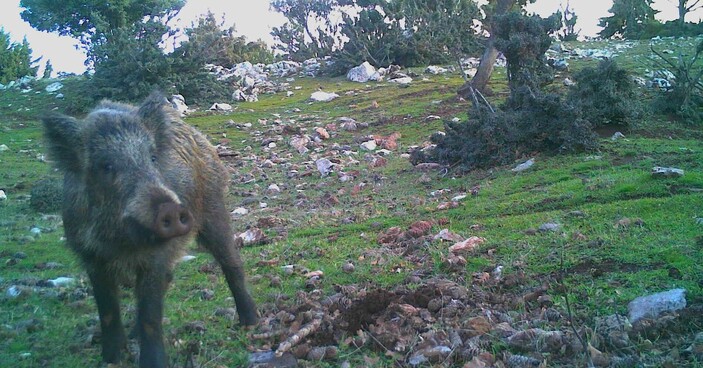 Yeni Haber Başlığı