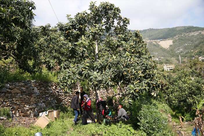 Alanya, yenidün