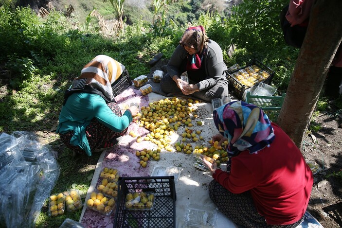 Alanya, yenid