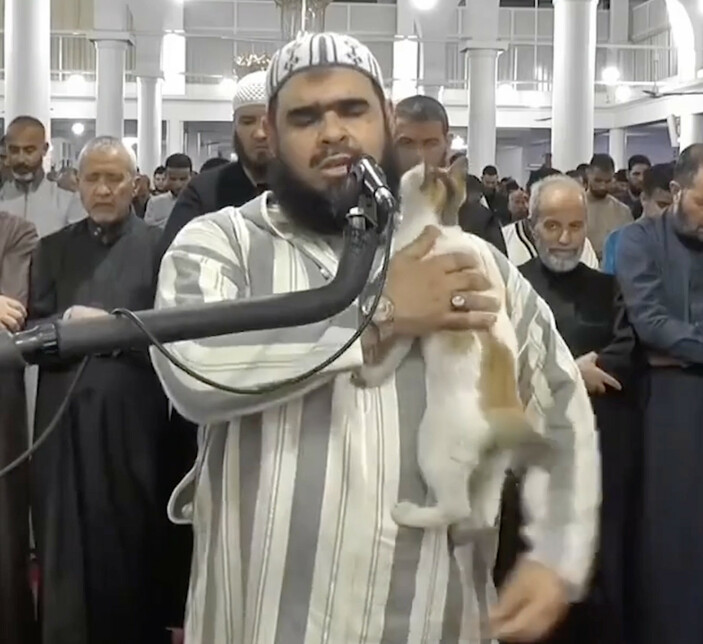 Cezayir'de bir kedi, namaz kıldıran imamın üzerine tırmandı