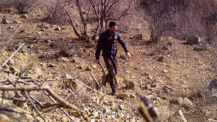 Erzincan'da kaçak avcıyı boynuz ele verdi: 250 bin lira tazminat