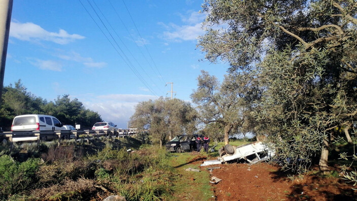 Muğla'da çarpışan araçlar zeytin bahçesine uçtu