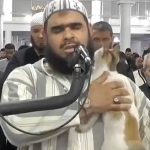 Cezayir'de bir kedi, namaz kıldıran imamın üzerine tırmandı