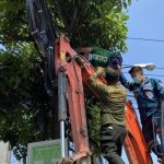 Tayland'da alkollü şahıs, elektrik tellerinde uyuyakaldı