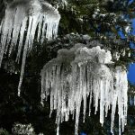 Doğu Anadolu'da hava sıcaklığı düştü! Buzlanmalar yaşandı