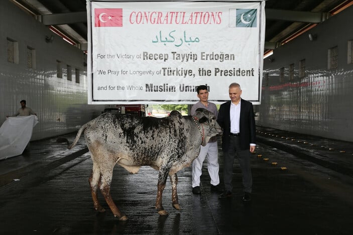 Pakistan'da, Cumhurbaşkanı Erdoğan'ın seçim zaferi için kurban kesildi