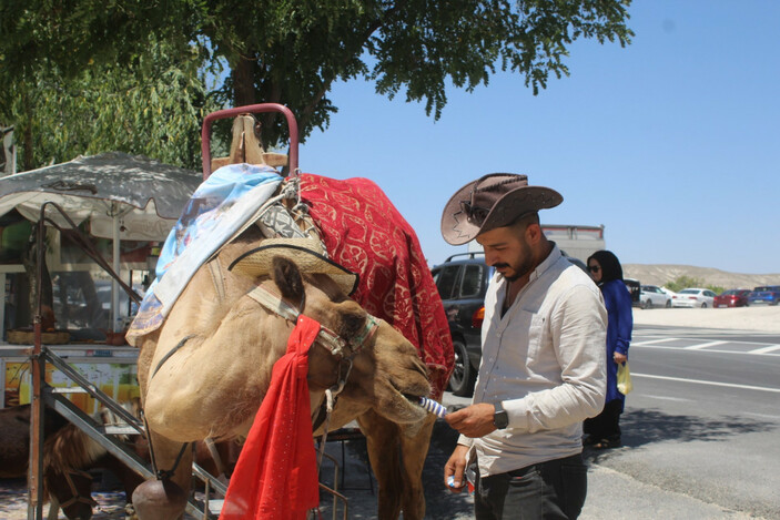 Kapadokya'da sıcaktan bunalan develere dondurmalı destek: 10 külah yedi