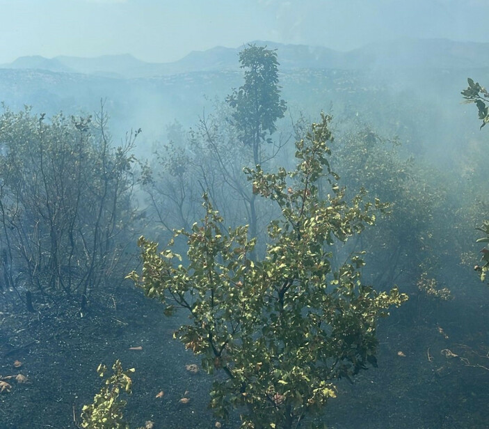 Diyarbakır Lice’de orman yangını çıktı