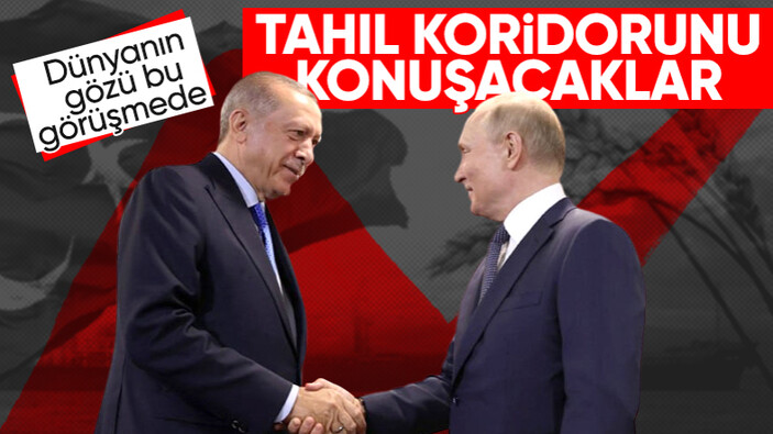 Cumhurbaşkanı Erdoğan-Vladimir Putin görüşmesi: Gündemde tahıl koridoru var