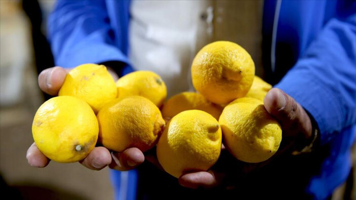 Limon kabuklarını sıcak suya atmak bakın ne işe yarıyormuş! Eğer kulağa damlatılırsa....