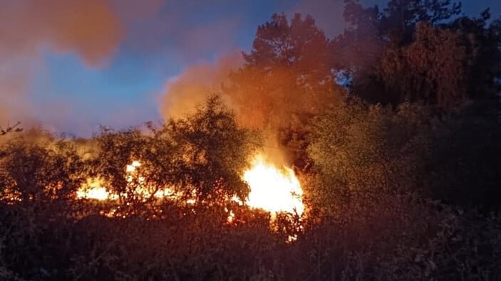 Hatay’da ağaçlık alanda çıkan yangın söndürüldü