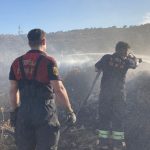 Muğla'da makilik alanda yangın çıktı