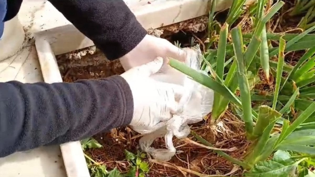 Samsun'da dedesinin kabrine uyuşturucu sakladığını itiraf etti: 15 yıl hapis cezası aldı