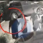 Dilan Polat ve Engin Polat, park yeri için komşularına saldırdı