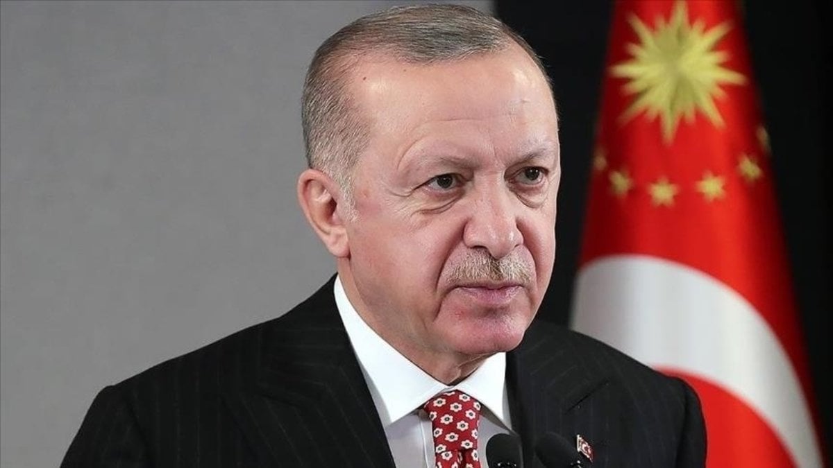 AP Alman üyesinden Cumhurbaşkanı Erdoğan'a: Türkiye'nin çıkarlarını savunuyor