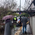 Diyarbakır'da sağanak sonucu ağaç otomobilin üzerine devrildi