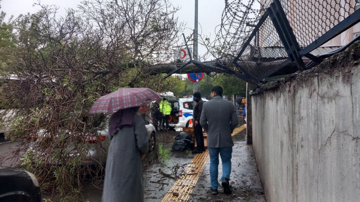 Diyarbakır'da sağanak sonucu ağaç otomobilin üzerine devrildi