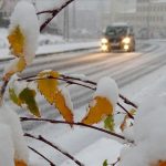 Erzurum, Kars ve Ardahan'da kar ve soğuk hava ile kara kış erken geldi