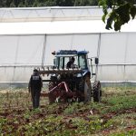 Tarımsal destekleme ödemesi bugün çiftçilerin hesaplarına aktarılıyor