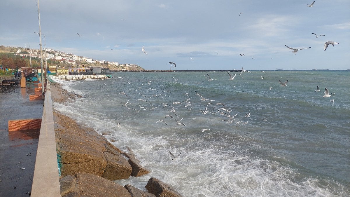 Tekirdağ’da şiddetli lodos deniz trafiğini aksattı! Dev dalgalar kıyıyı dövüyor