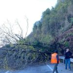 Artvin'de heyelan! Ekipler çalışma başlattı...