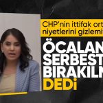 HDP'li vekilden TBMM'de Öcalan'a övgü