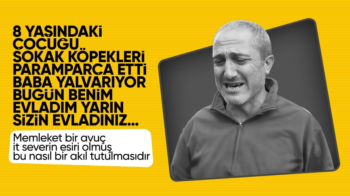 Ankara'da başıboş köpek saldırısında ağır yaralanan çocuğun babası konuştu