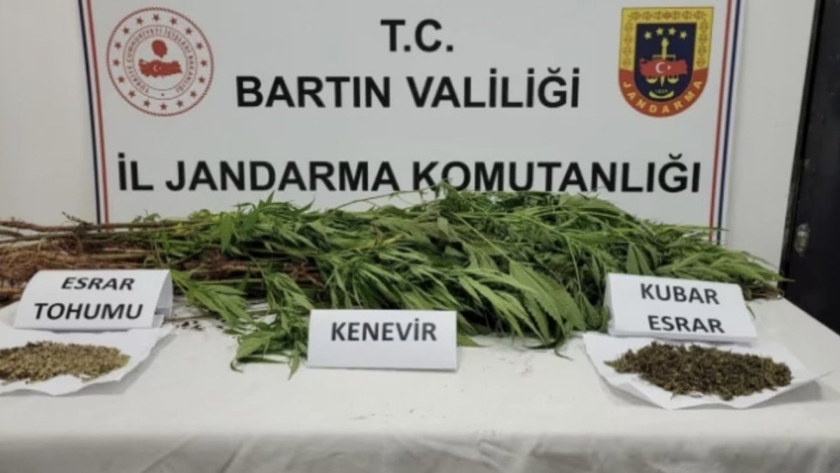 Bartın'da hint keneviri ekerken fotokapana yakalandı: 3 yıl hapis