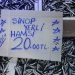 Sinop’ta balıkçı tezgahlarında hamsi bolluğu yaşandı: Kilosu 20 TL